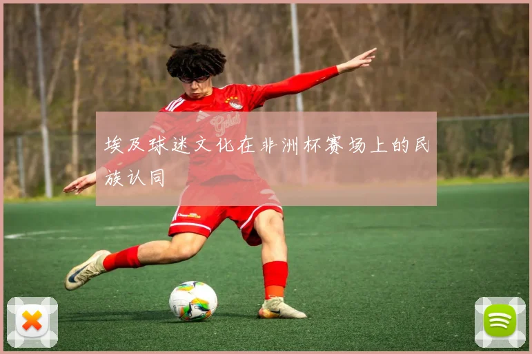 埃及球迷文化在非洲杯赛场上的民族认同