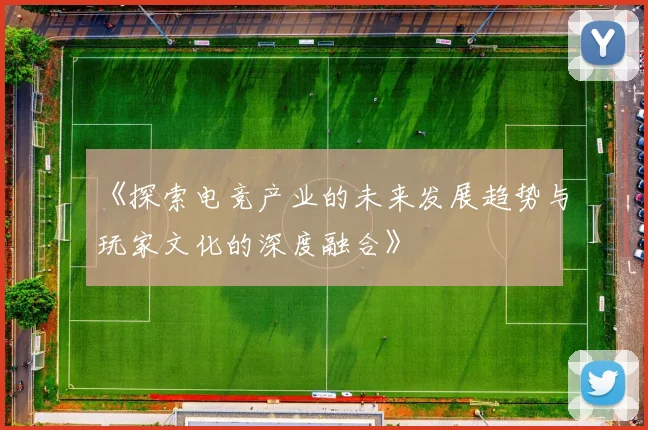 《探索电竞产业的未来发展趋势与玩家文化的深度融合》