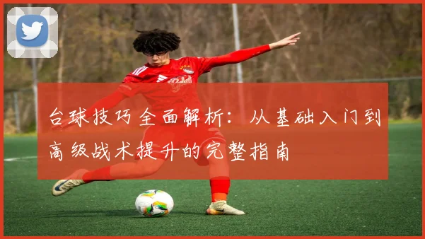 台球技巧全面解析：从基础入门到高级战术提升的完整指南