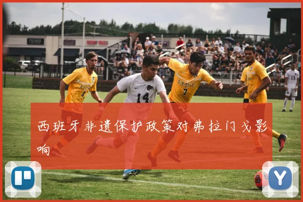 西班牙非遗保护政策对弗拉门戈影响