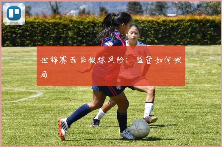 世锦赛面临假球风险：监管如何破局