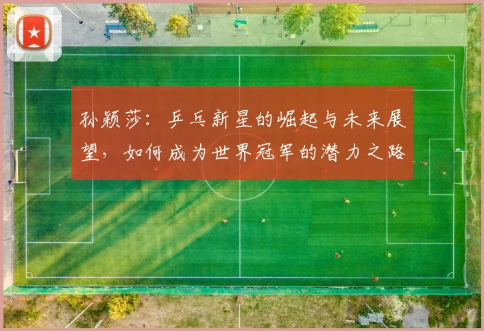 孙颖莎：乒乓新星的崛起与未来展望，如何成为世界冠军的潜力之路