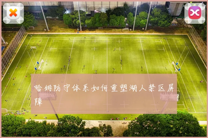 哈姆防守体系如何重塑湖人禁区屏障