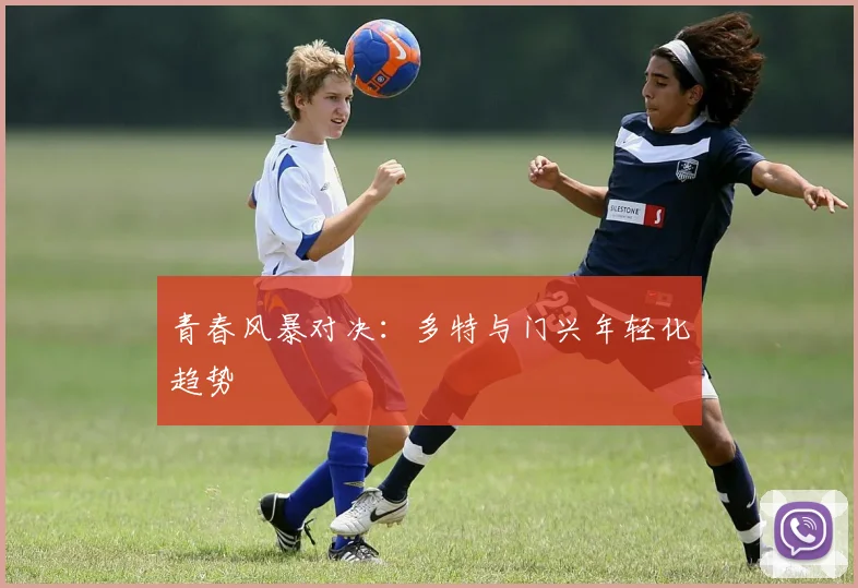 青春风暴对决：多特与门兴年轻化趋势