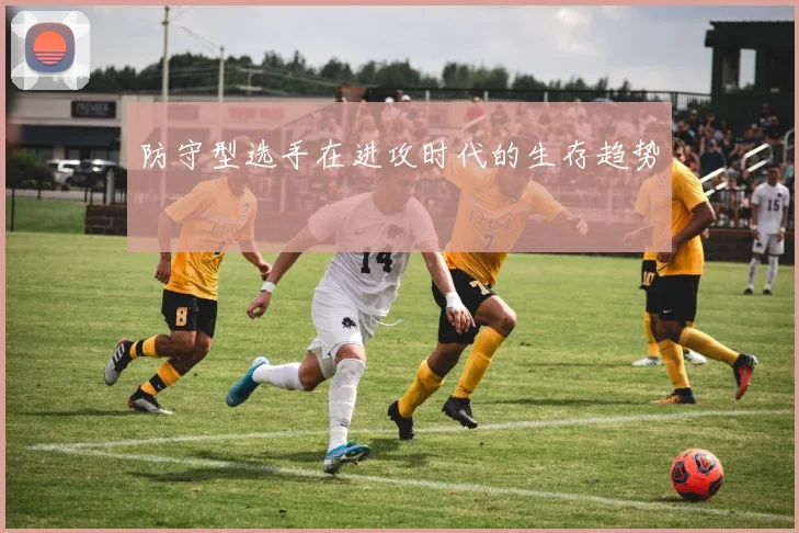 防守型选手在进攻时代的生存趋势