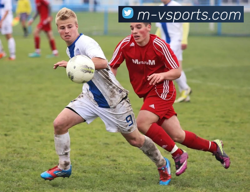 App Interface Preview