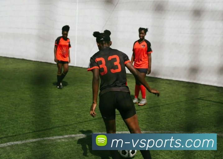 v体育官网APP 封面图