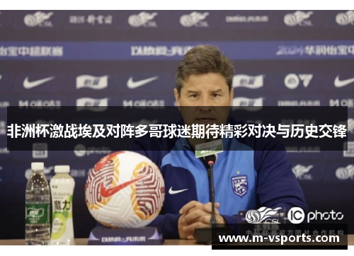 非洲杯激战埃及对阵多哥球迷期待精彩对决与历史交锋