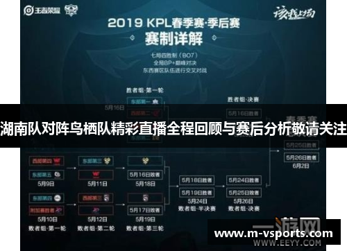 湖南队对阵鸟栖队精彩直播全程回顾与赛后分析敬请关注
